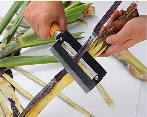 we3 Plywood, Handle: Wooden Sugarcane And Pineapple Peeling Knife Multifunctional Peeler, Paperback