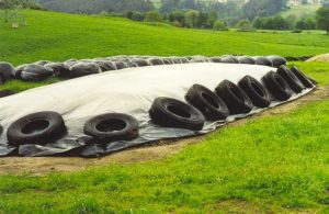 silage