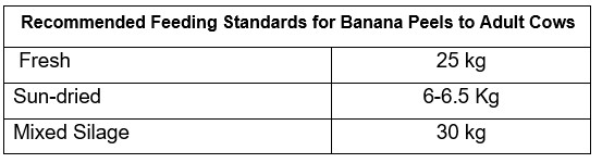 Recommended Feeding Standards for Banana Peels 
